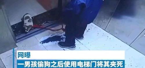 对镜爆料小男孩视频大全,揭秘小男孩视频大全的欢乐瞬间 第3张 对镜爆料小男孩视频大全,揭秘小男孩视频大全的欢乐瞬间 第3张