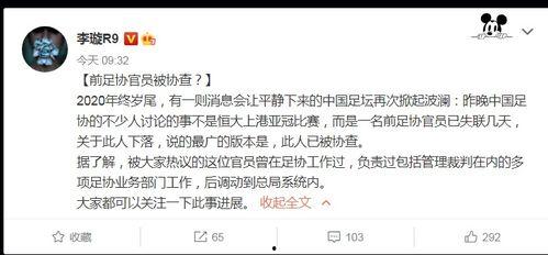 李璇爆料裁判视频大全最新,裁判视频大全背后的真相与争议 第3张 李璇爆料裁判视频大全最新,裁判视频大全背后的真相与争议 第3张
